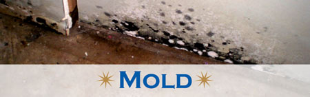 Mold-Restoration-KM-Construction-2