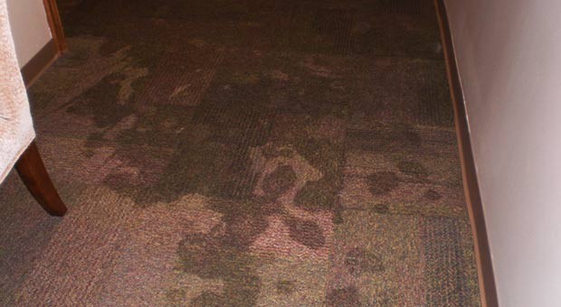 carpet-replacement-after-water-damage-to-family-room--Louisville-KY