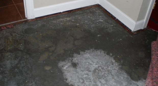 company-fixes-flooded-home-in--Louisville-KY