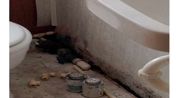mold-remediation-needed-in-bathroom--louisville-ky