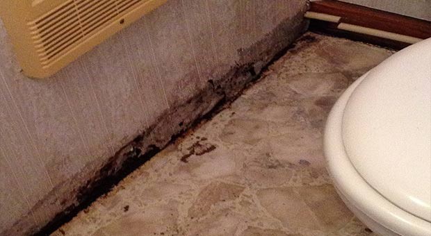 need-mold-repair-in-bathroom--louisville-ky