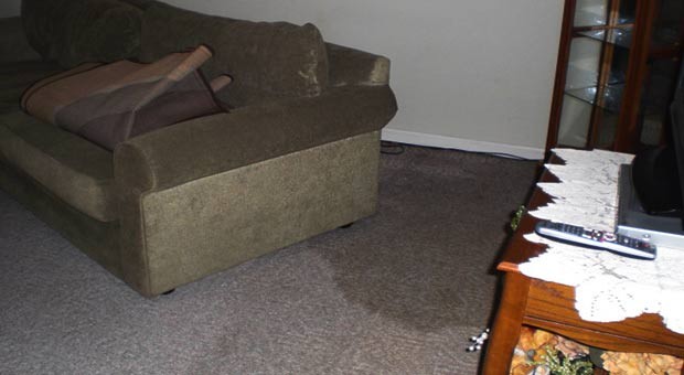 repair-carpet-after-water-damage--Louisville-KY