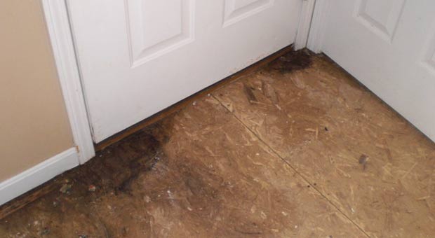 water-damage-leads-to-mold-problem--Louisville-KY